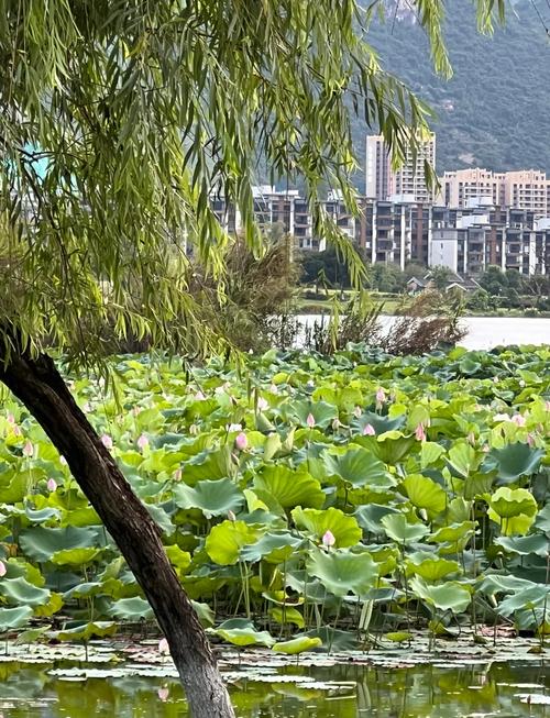【 廣西】賀州、龍脊、灕江皇牌全景遊純玩 5 天 (GKK5)