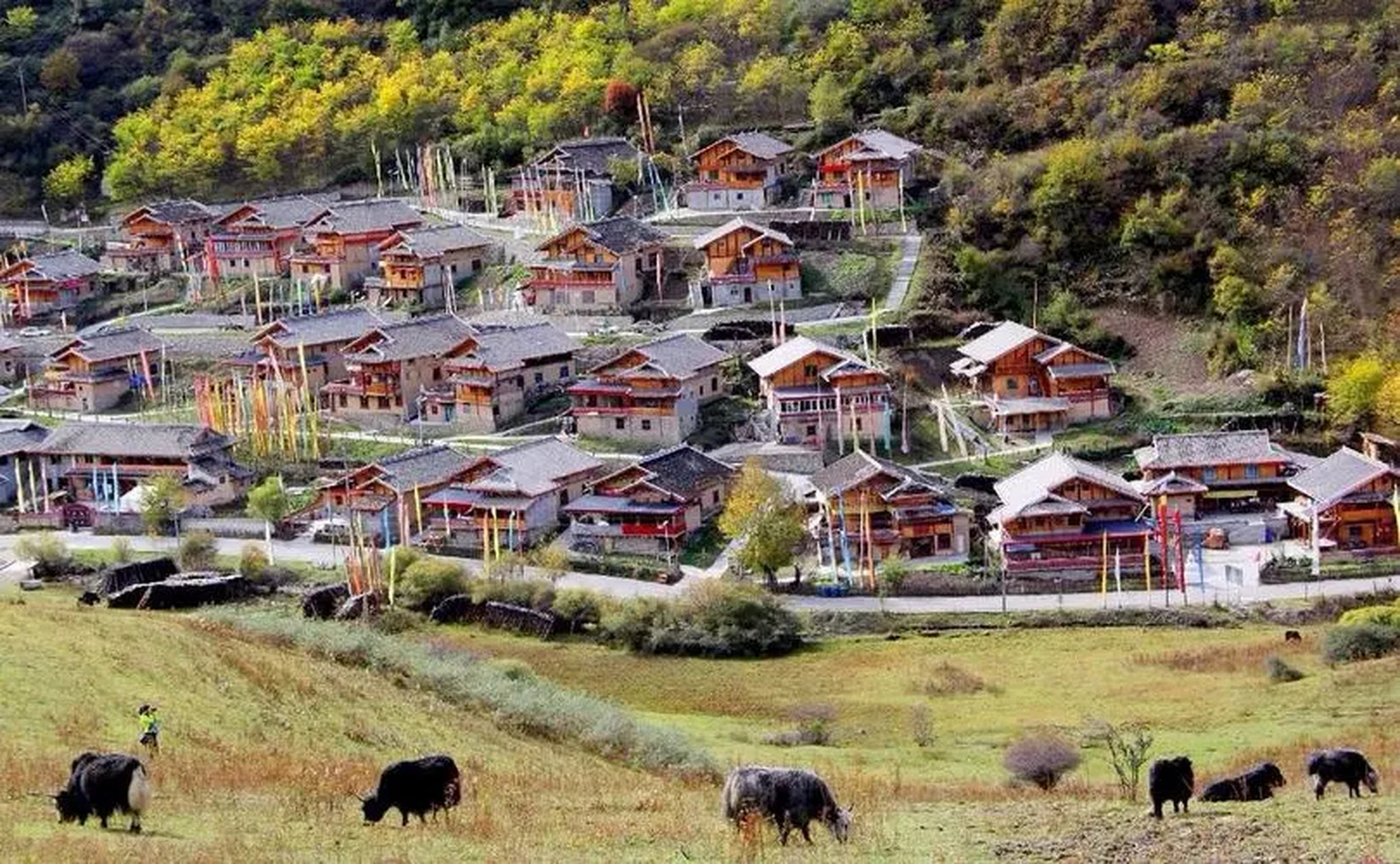 【四川】九寨溝、熊貓樂園、黃龍 6天 (CTU6)