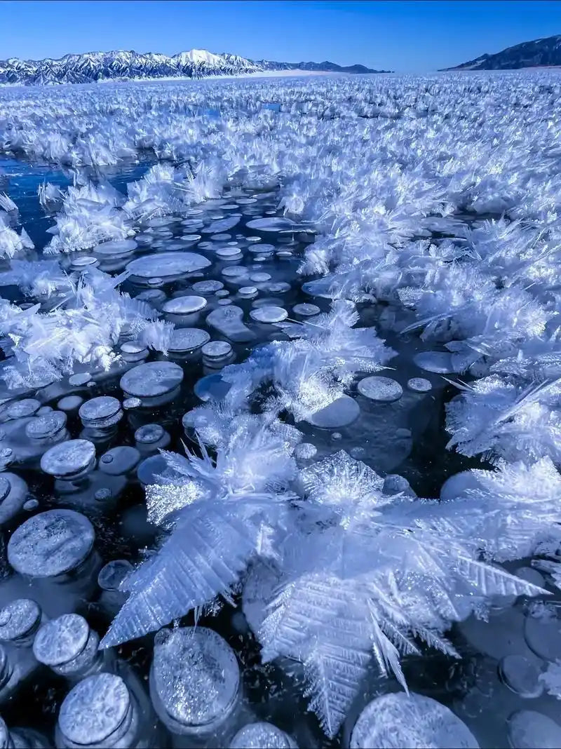 【私人獨立小團】《雪韻伊犁》伊寧、賽里木湖、那拉提、烏魯木齊 8 天 (SLS8)