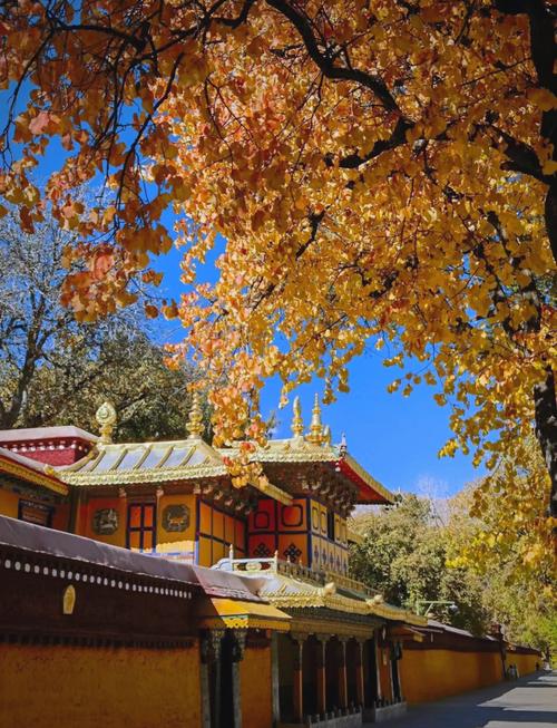 【 西藏】拉薩、布達拉宮、 龍王潭公園、羅布林卡、 納木措、紥西半島 10 天 (LXA10)