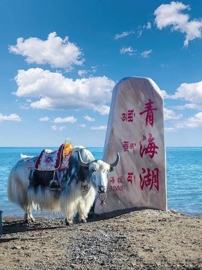 【青海 ‧ 甘肅】西寧青海、甘肅絲路環線 8 天 (UQQ8H)