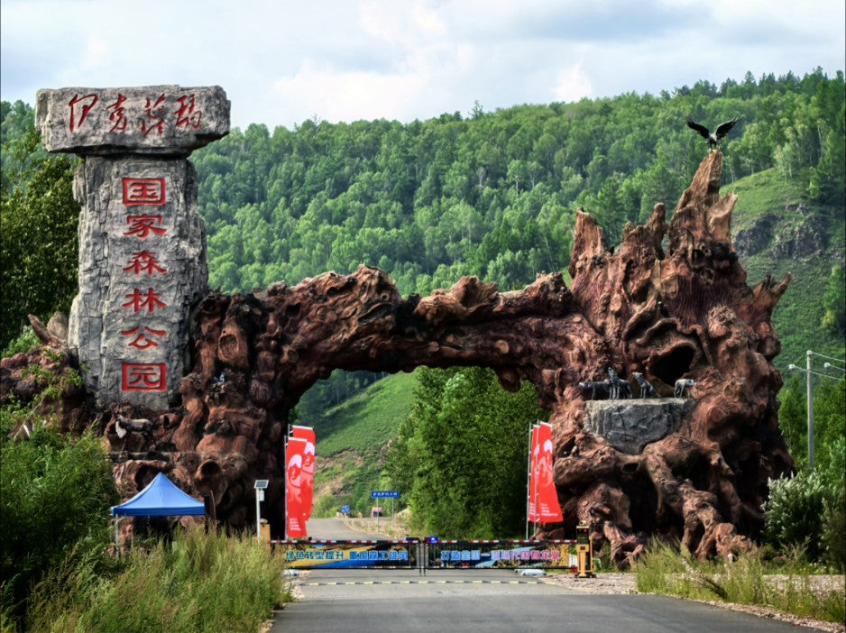 【黑龍江】漠河北極村、呼倫貝爾大草原、額爾古納濕地、186彩帶河、根河海拉爾 8天 (HBZ8)