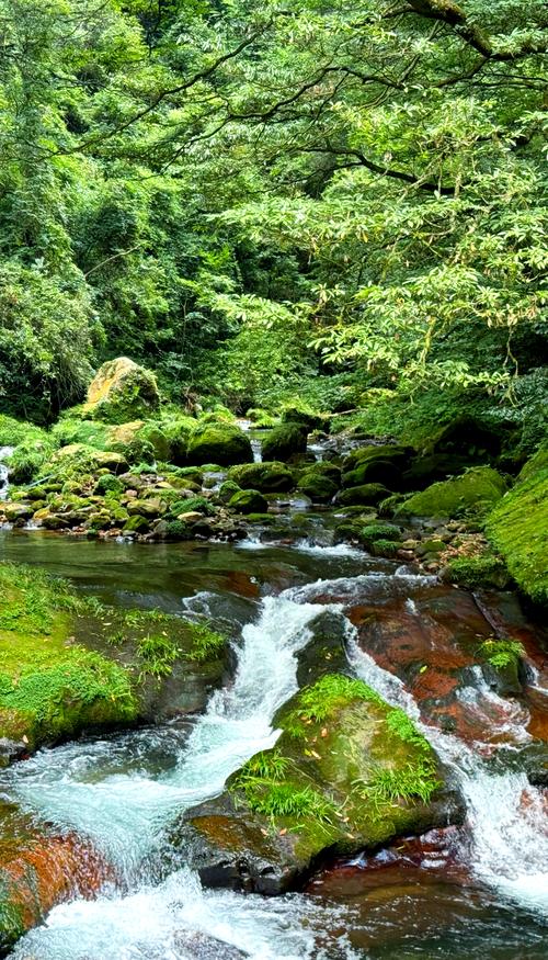 【湖南】張家界、天⾨⼭、鳳凰古城、高鐵 6 天 (CRH6)