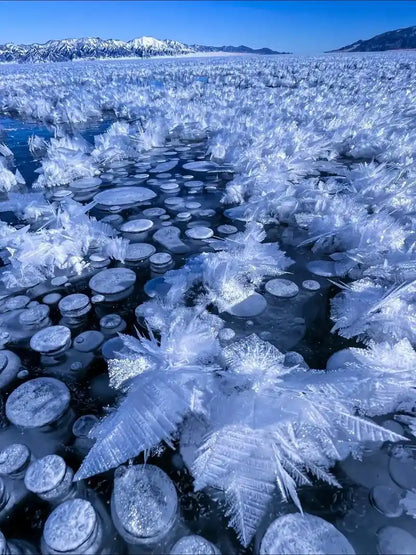 【私人獨立小團】《雪韻伊犁》伊寧、賽里木湖、那拉提、烏魯木齊 8 天 (SLS8)