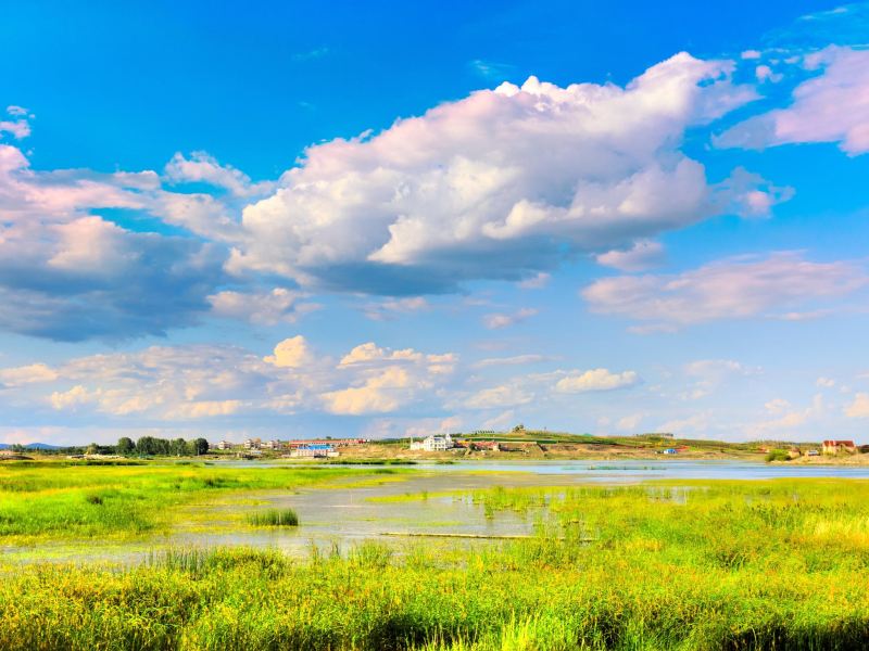 【黑龍江】漠河北極村、呼倫貝爾大草原、額爾古納濕地、186彩帶河、根河海拉爾 8天 (HBZ8)