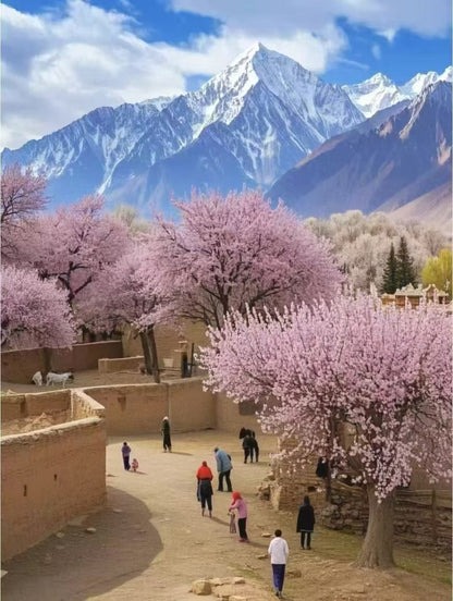 【春日限定 ‧ 新疆花季】庫車、塔縣、庫爾勒、喀什、阿克蘇 11 天 (SLS11)