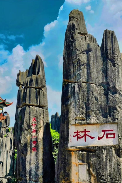 【雲南】西雙版納、昆明、野象谷、熱帶植物園 6 天 (YUB6)