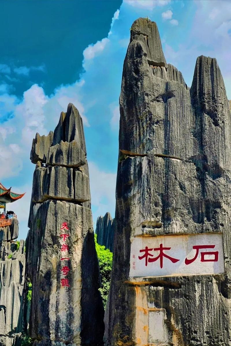 【雲南】西雙版納、昆明、野象谷、熱帶植物園 6 天 (YUB6)