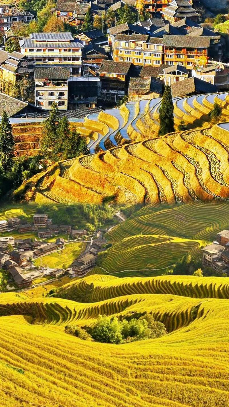 【 廣西】賀州、龍脊、灕江皇牌全景遊純玩 5 天 (GKK5)