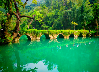 【貴州 ‧ 經典升級】黃果樹大瀑布、荔波、安順、西江苗寨、貴陽 6 天(GZH6)