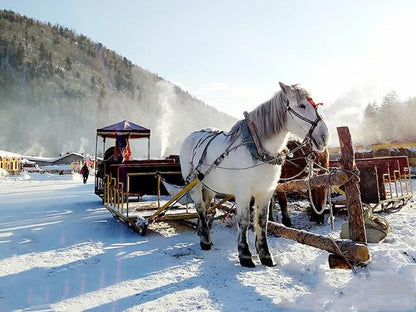 【黑龍江 ‧ 遼寧 ‧ 吉林】大連、 長白山、老裡克湖、 雪鄉、哈爾濱 8 天 (HRB8)