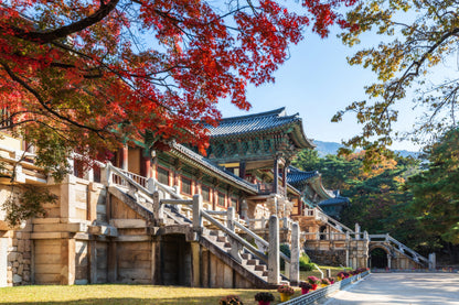 【南韓】旅行團 (KSJ6) － 探索韓國南部靚景6天
