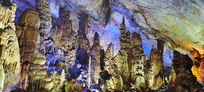 【貴州 ‧ 經典升級】黃果樹大瀑布、荔波、安順、西江苗寨、貴陽 6 天(GZH6)